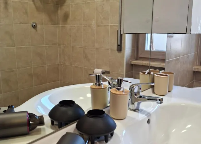 Domus Mazzini 公寓 波坦察